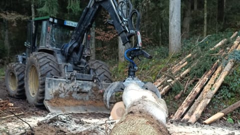 Forstschlepper mit Kran beim Rücken eines gefällten Stamms im Wald